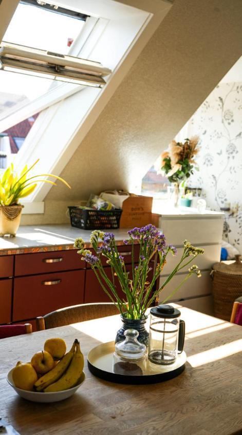 Cosy In Residential Part Of Copenhagen, With Free Street Parking And Shared Bathroom Séjour chez l'habitant