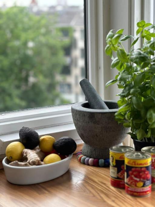 Penthouse Med Egen Tagterrasse * Copenhague