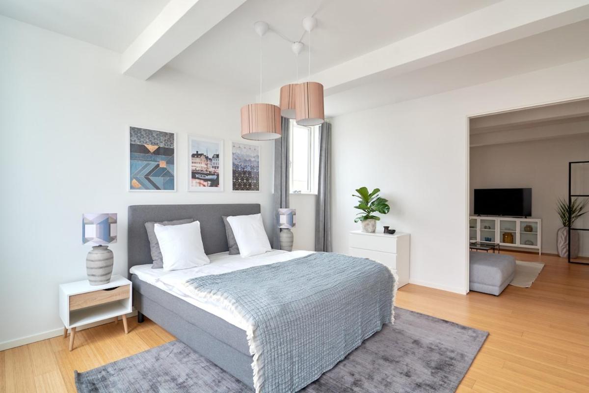 Eksklusiv-nordisk-topbelligenhed * Copenhagen