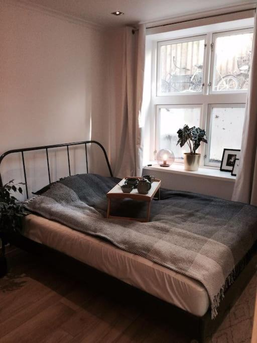Apartamento Mezzanine Design Furnished & 3m2 For Center