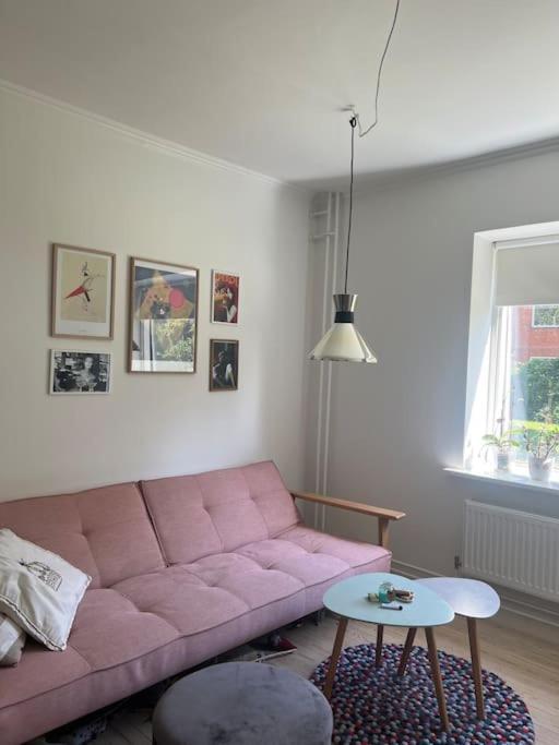 Cozy Flat By The Airport And The Nearby Copenhagen