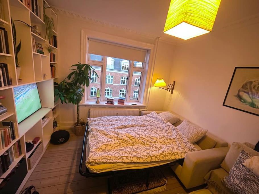 The Heart Of Norrebro Apartment, Sleeps 4 People