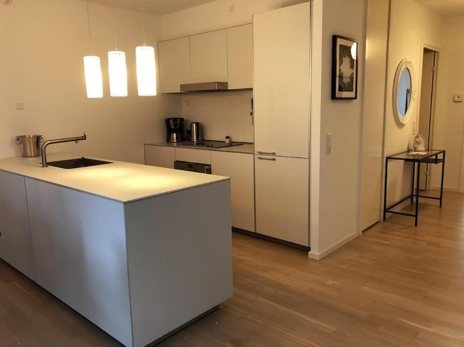 1 Bedroom Designer Flat Kopenhagen
