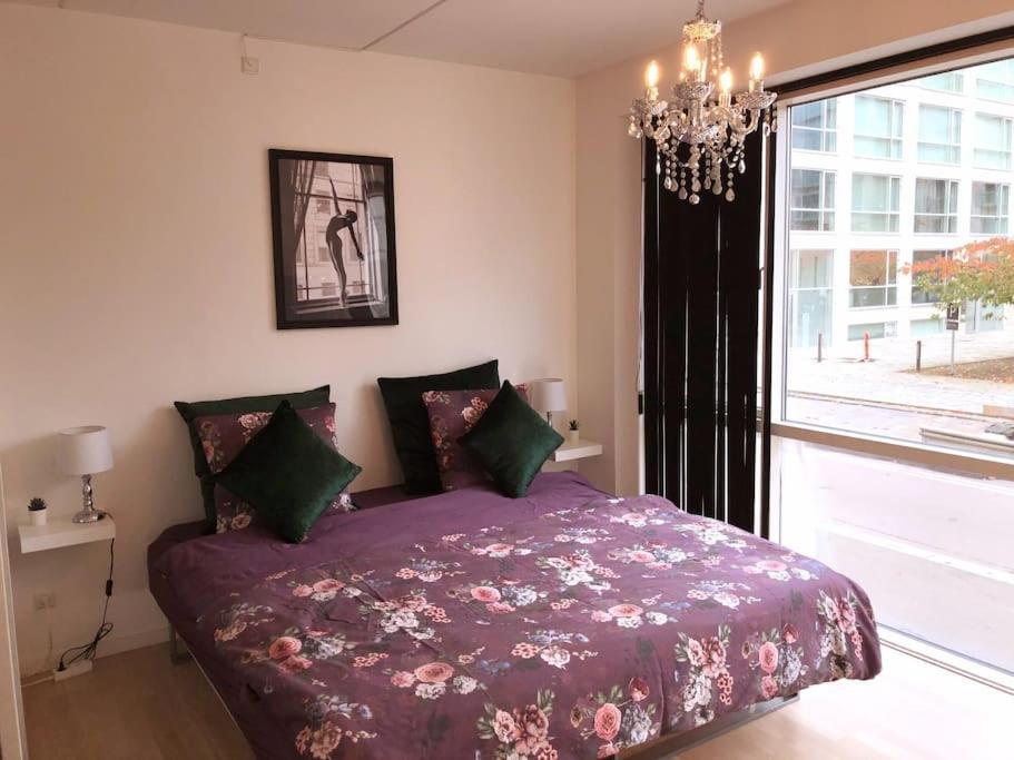 1 Bedroom Designer Flat
