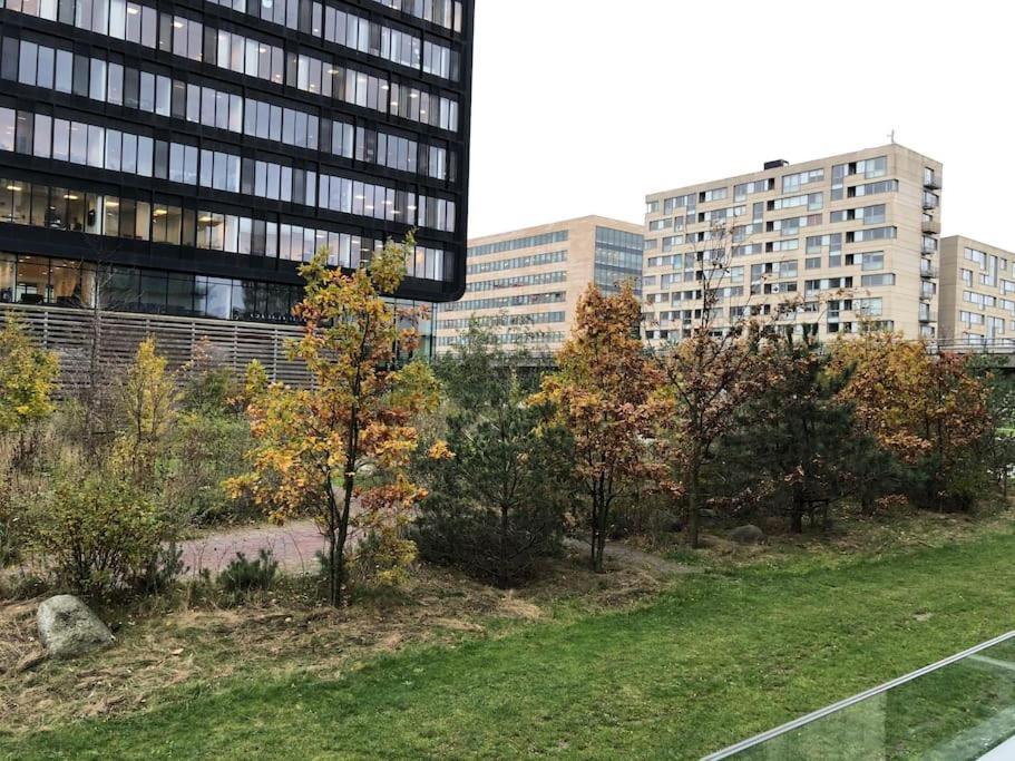 1 Bedroom Designer Flat Appartement