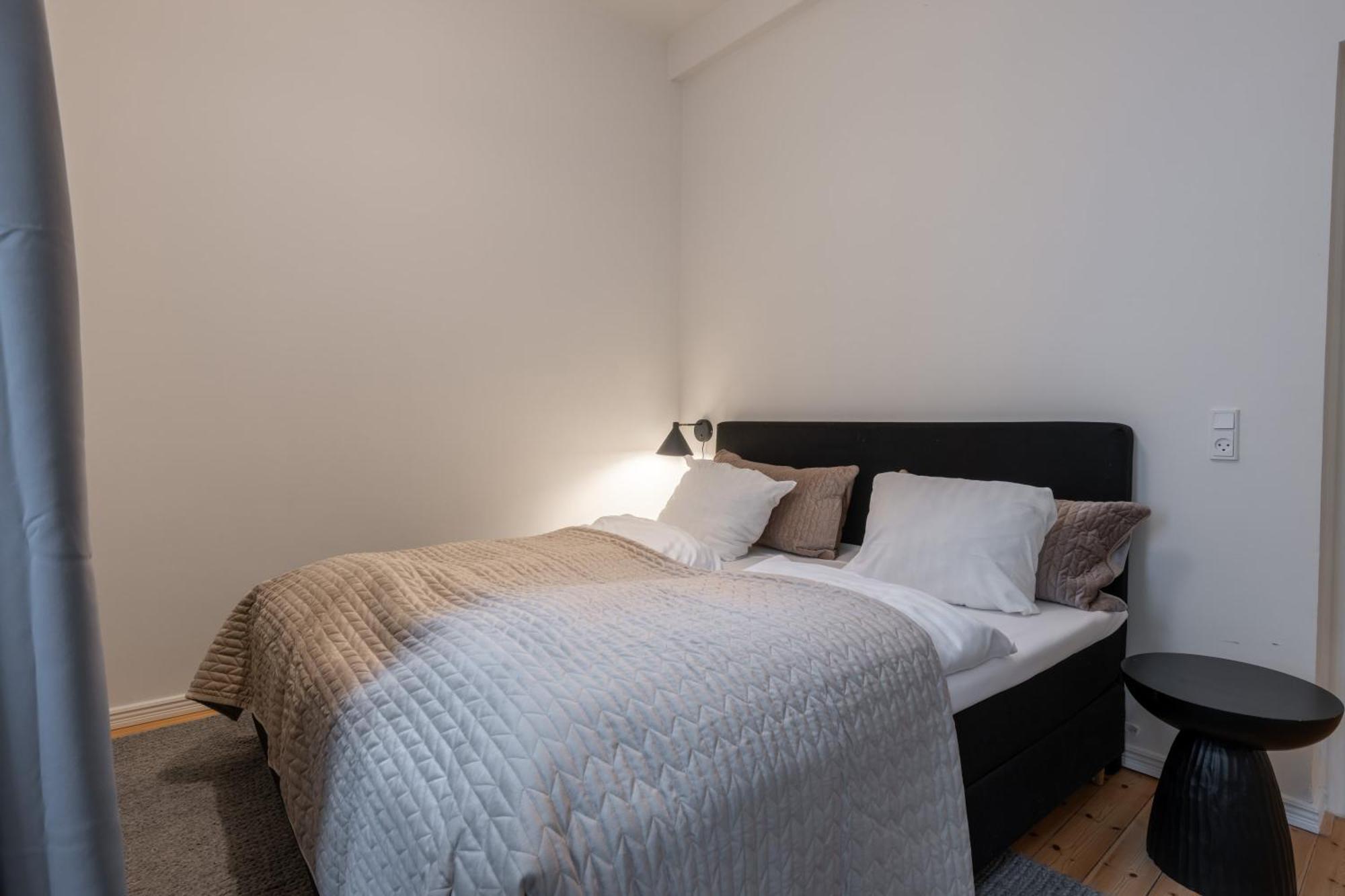 Stunning 5 Bedroom Flat By The Lakes * Copenhagen