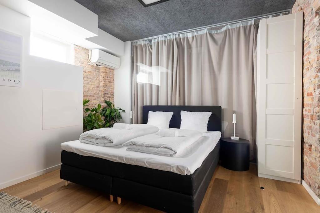 Apartment Spacious Double-flat For 10 In Cph Center Copenhagen