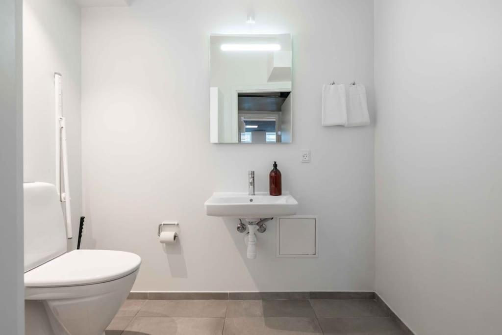 Spacious Double-flat For 10 In Cph Center Copenhagen