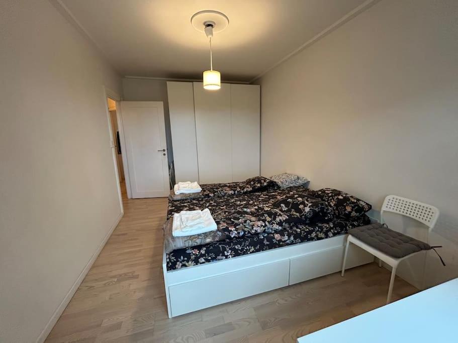 Dream In Centre Apartment *