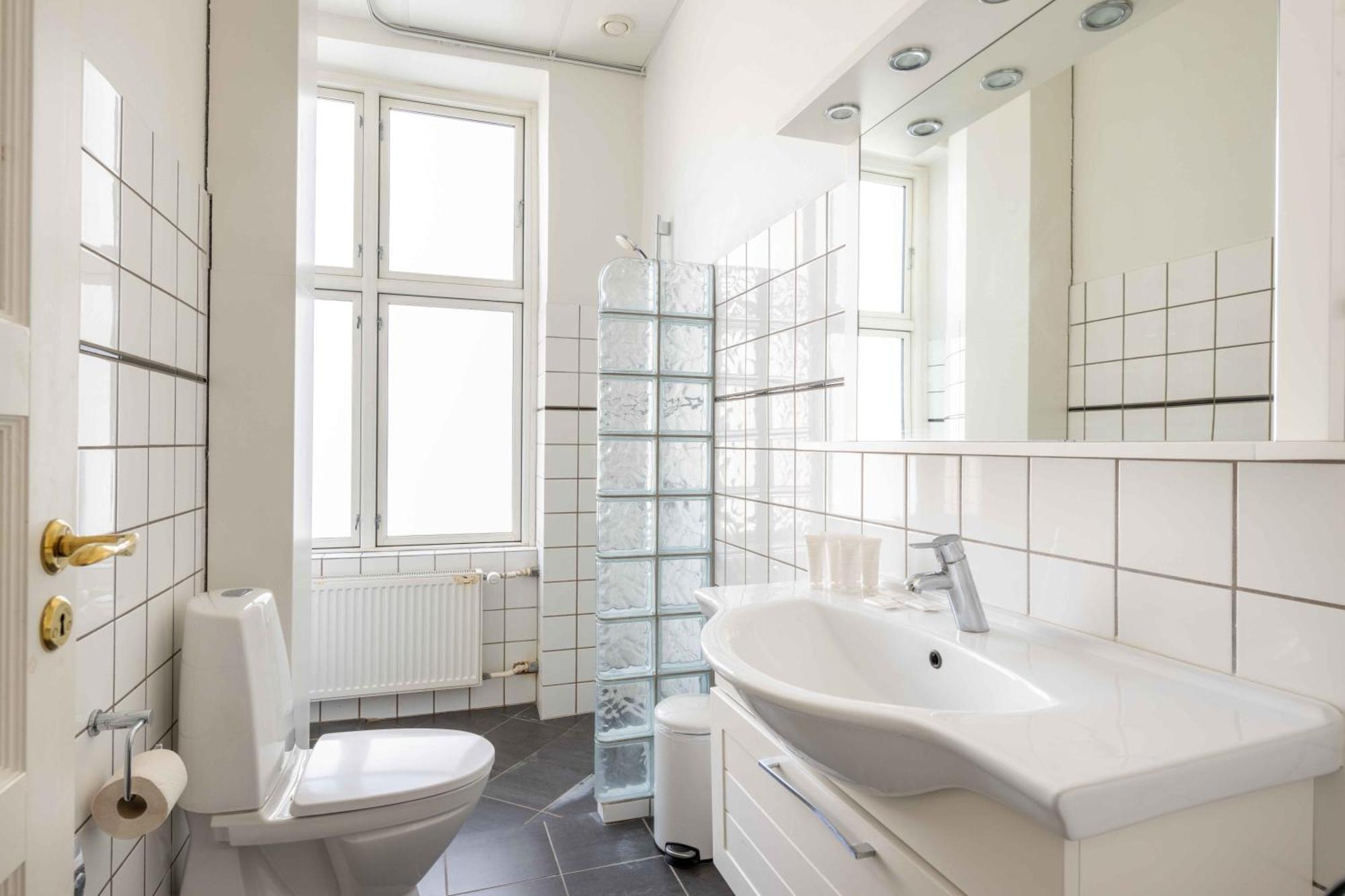 Apartment Large Flats In By Tivoli Gardens *