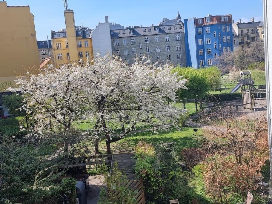 Norrebro Oasis - With 2 Cats - Families Only
