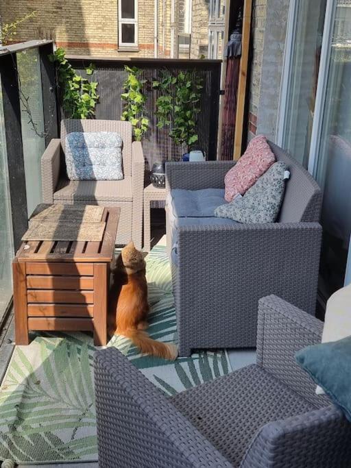 Norrebro Oasis - With 2 Cats - Families Only Apartment