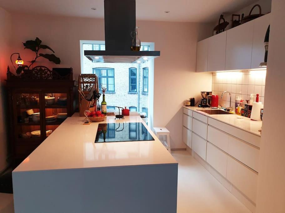 Norrebro Oasis - With 2 Cats - Families Only * Copenhagen