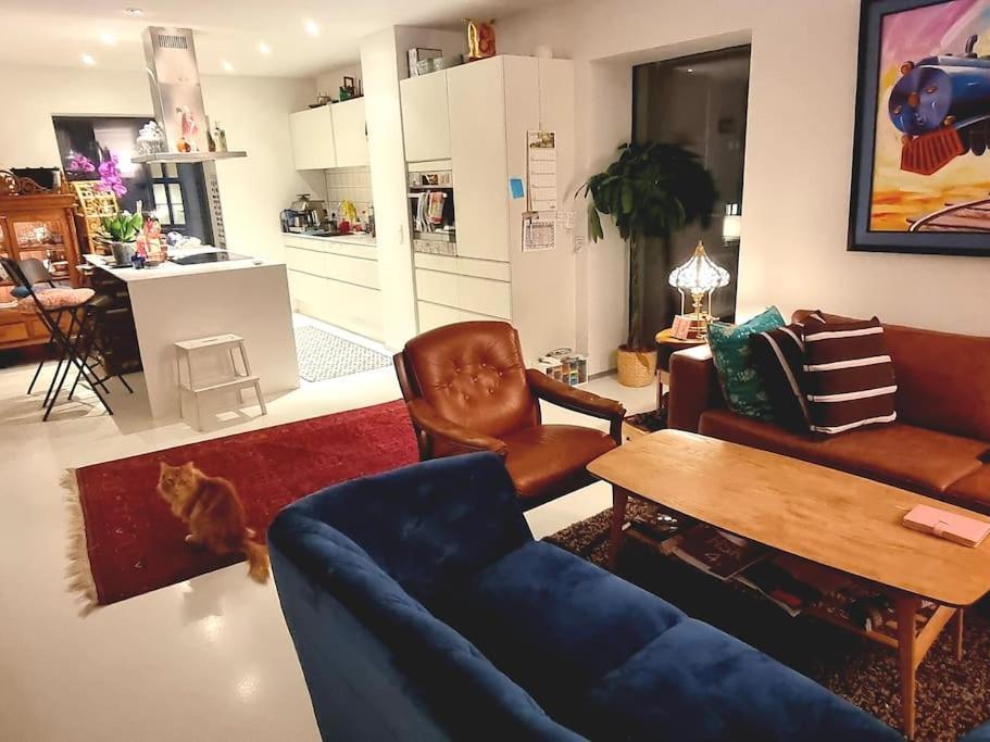 Apartment Norrebro Oasis - With 2 Cats - Families Only