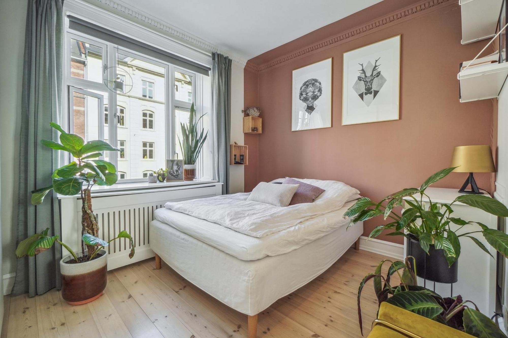 Nyistandsat 1br Lejlighed I Hjertet Af Norrebro Apartment