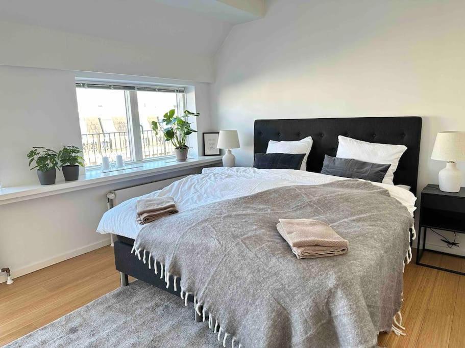 Penthouse-nordic-citycenter-balcony *