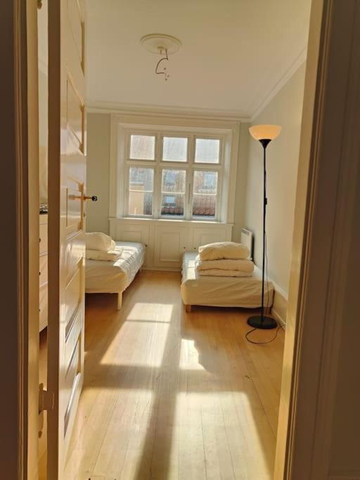 Glarmester I Copenaghen