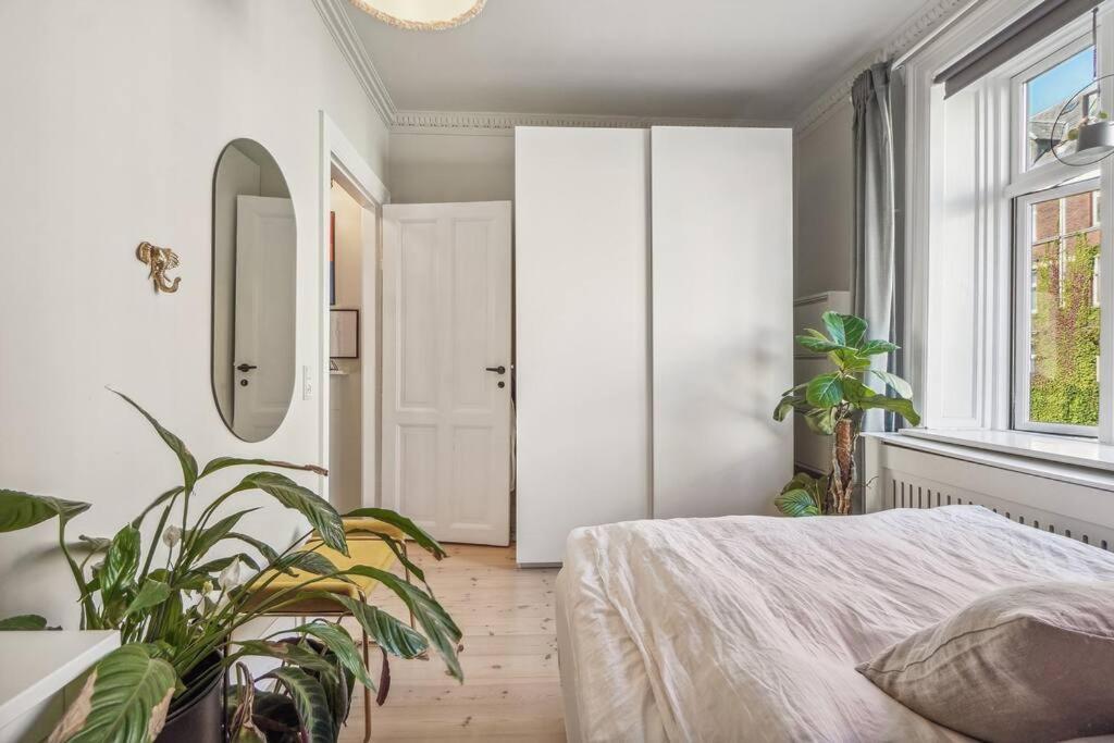Nyistandsat 1br I Hjertet Af Norrebro