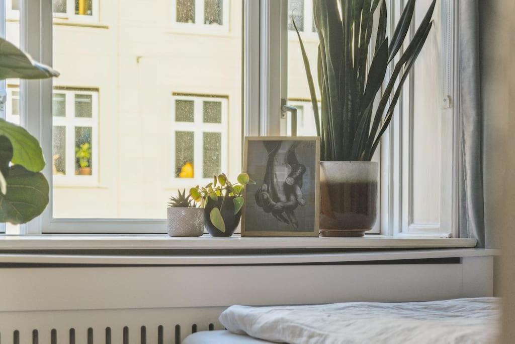 Appartement Nyistandsat 1br I Hjertet Af Norrebro Copenhague