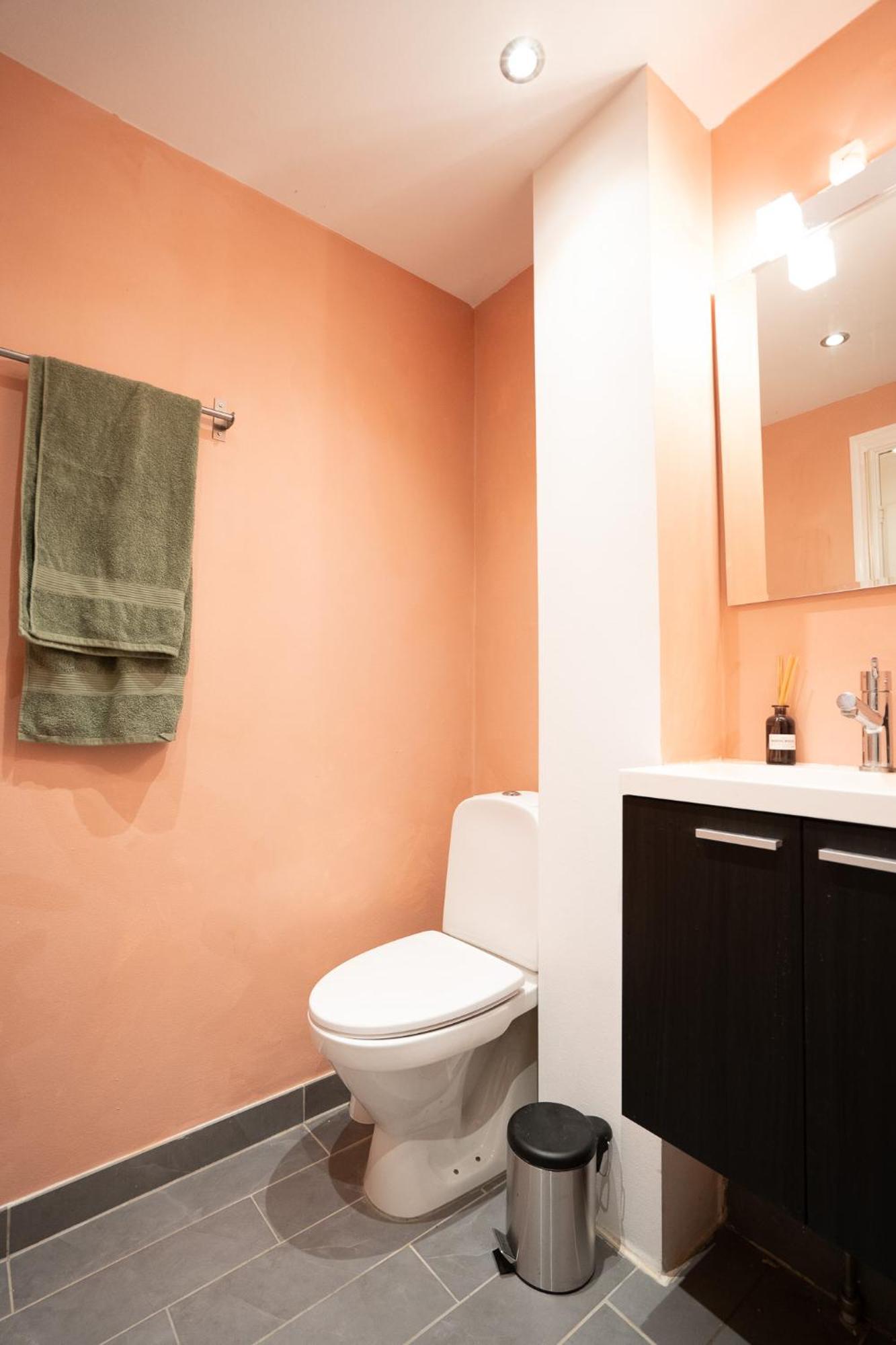Spacious With Amazing Loft Apartment *