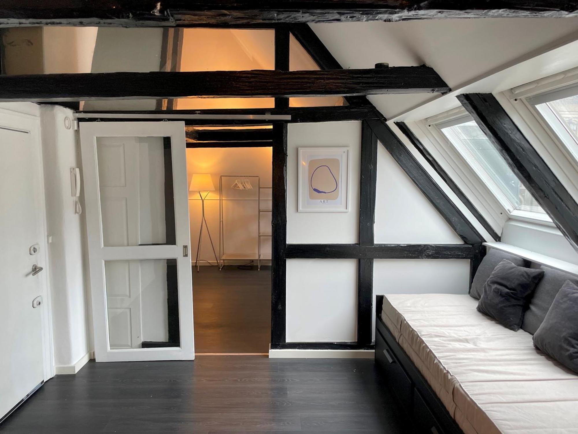 Designer Loft - Direct Marble Church Views * Copenhagen