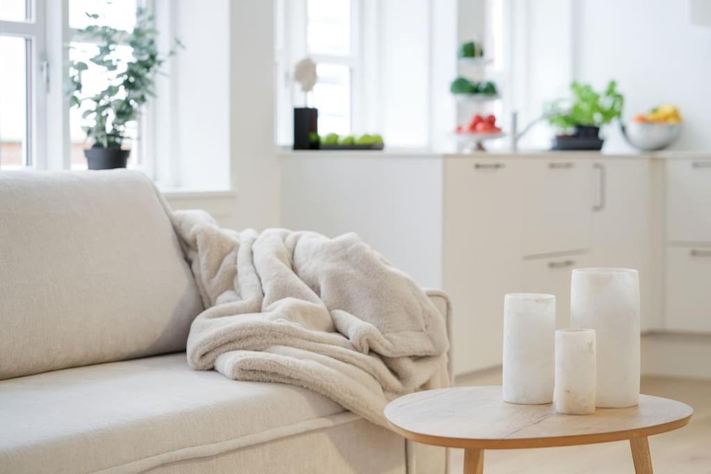 Luxury In Apartment Copenhagen