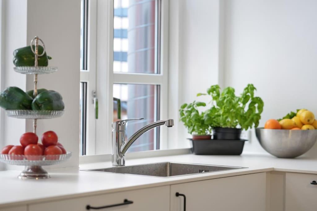 Apartment Luxury In Copenhagen