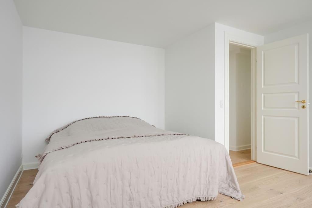 Apartment Luxury In Copenhagen