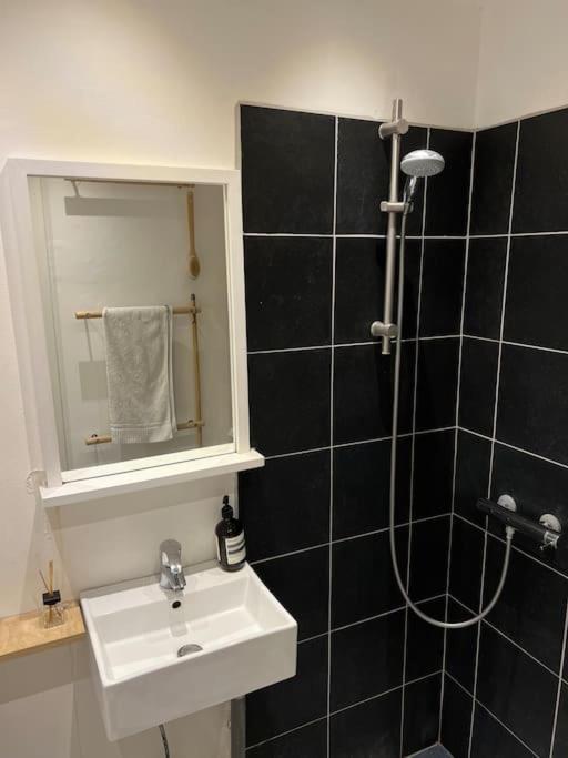 Apartment 1-bedroom With Park View Frederiksberg Copenhagen