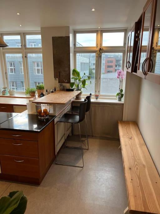 Apartment 1-bedroom With Park View Frederiksberg Copenhagen