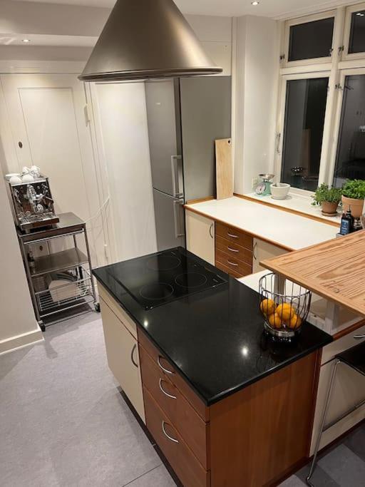 Apartment 1-bedroom With Park View Frederiksberg *