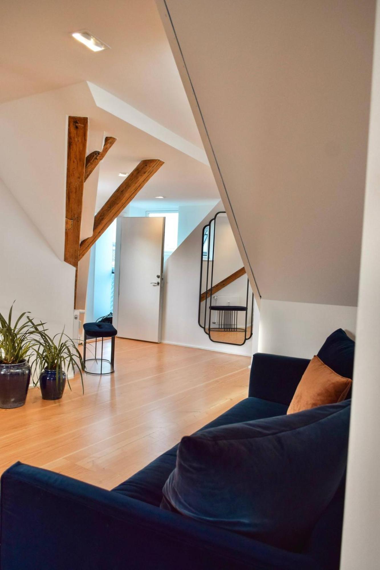 Apartment Penthouse With Private Rooftop Terrace Copenhagen