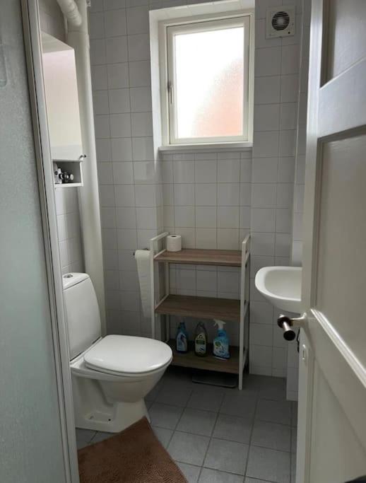 Hyggelig 1-vaerelses Lejlighed Copenhague