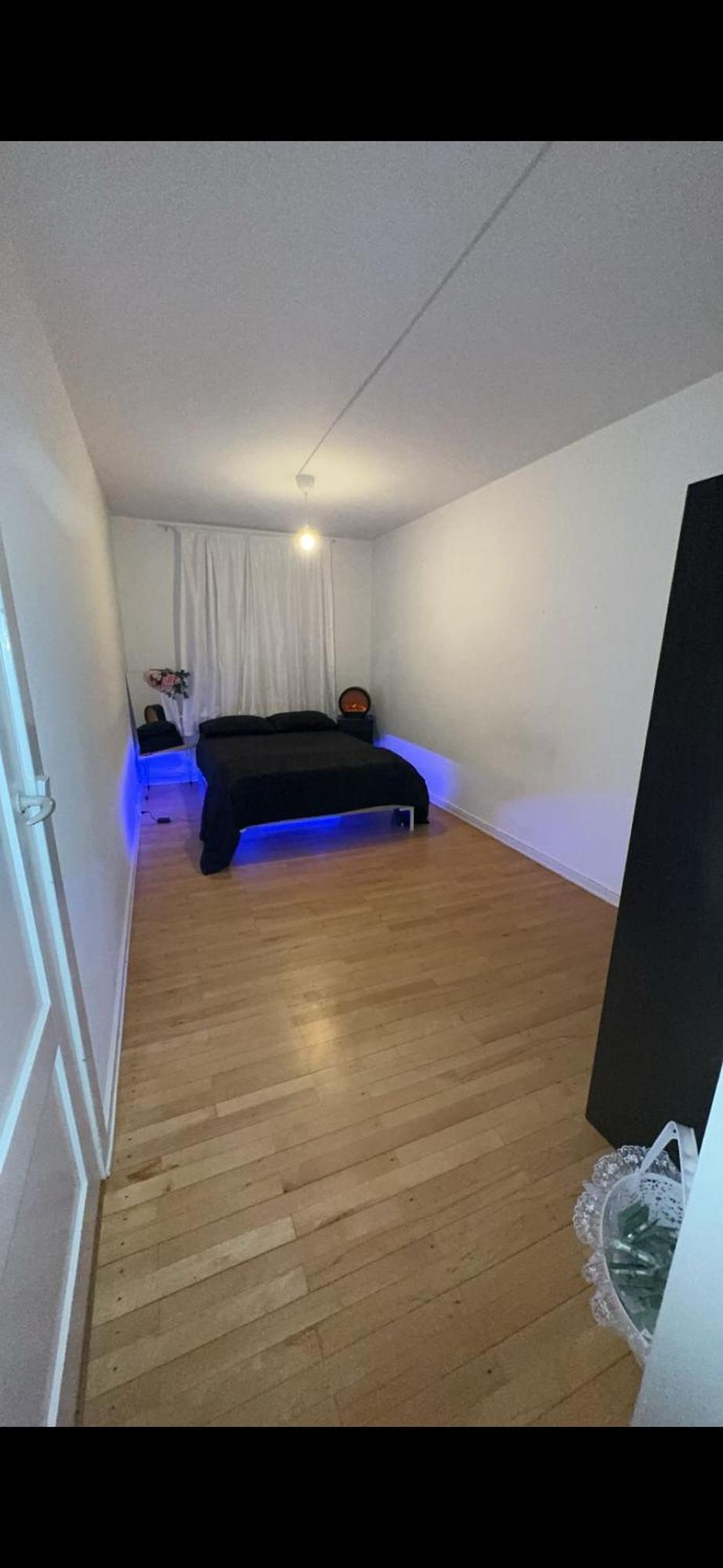 Apartment Cheap Near Copenhagen
