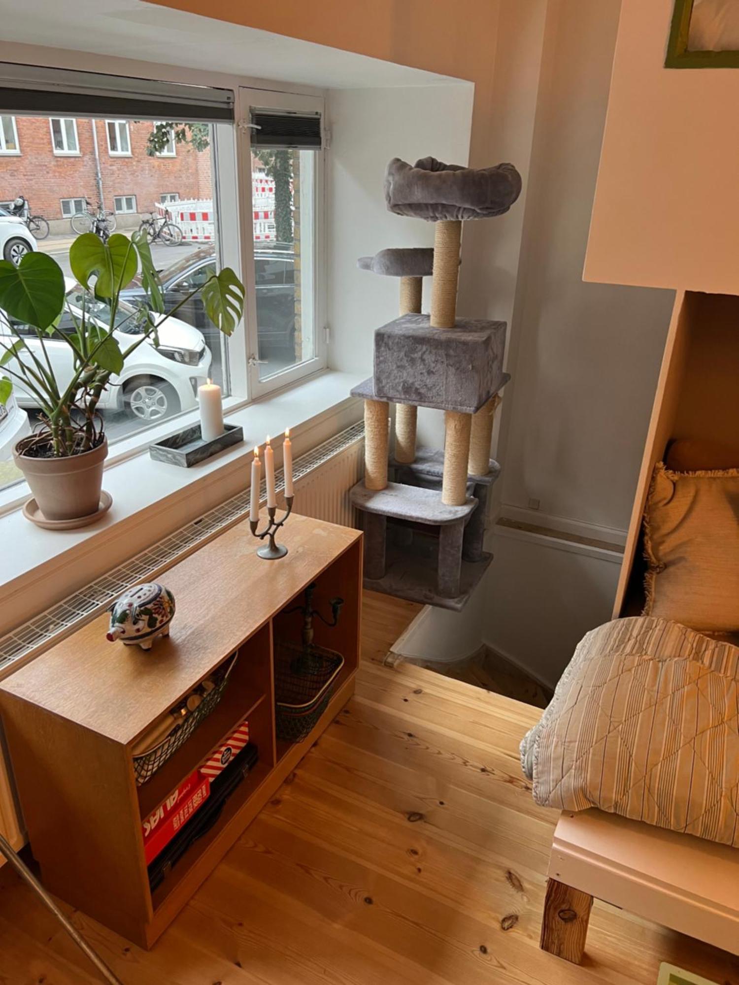 Spacious In
