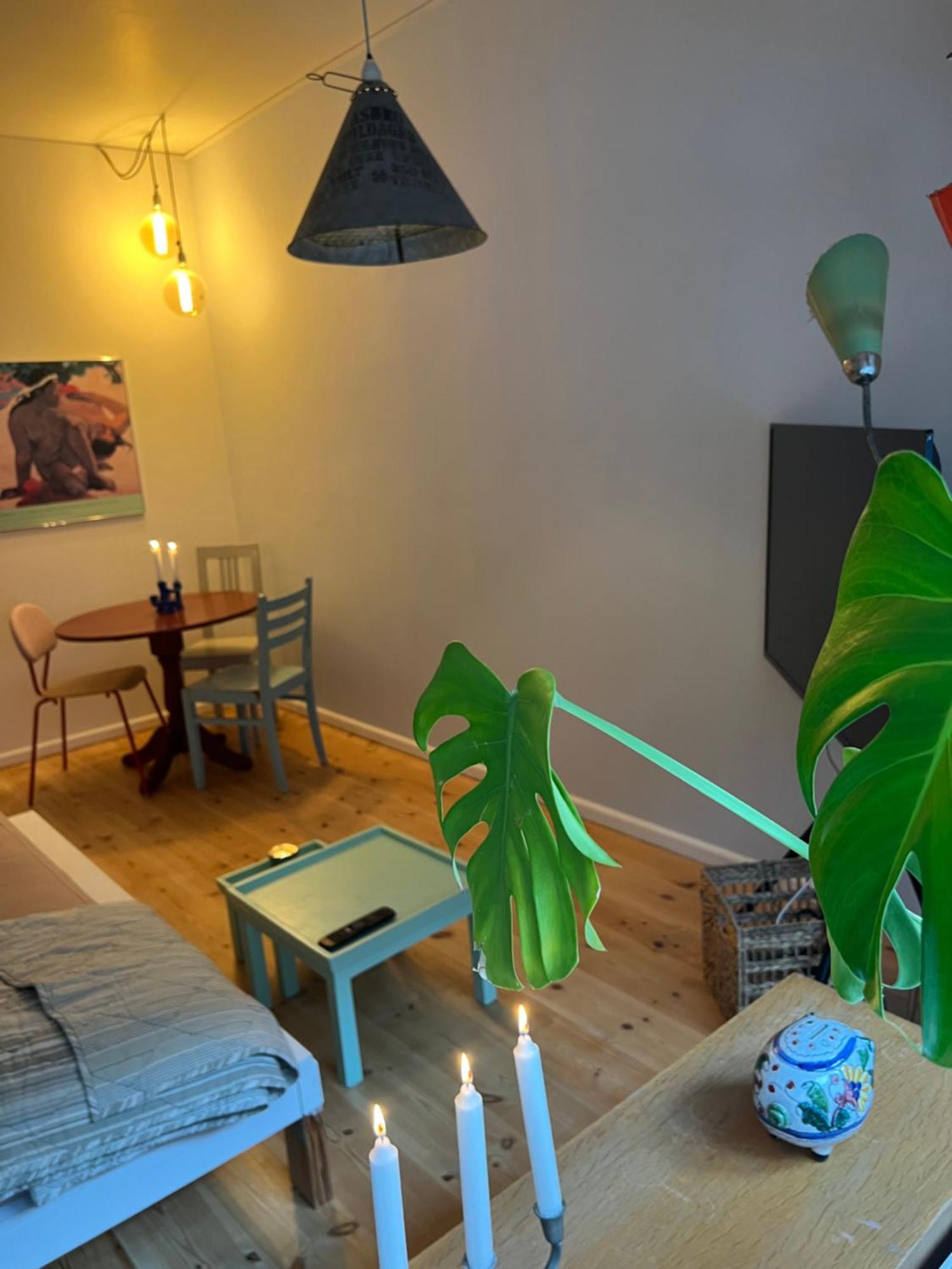 Apartment Spacious In Copenhagen