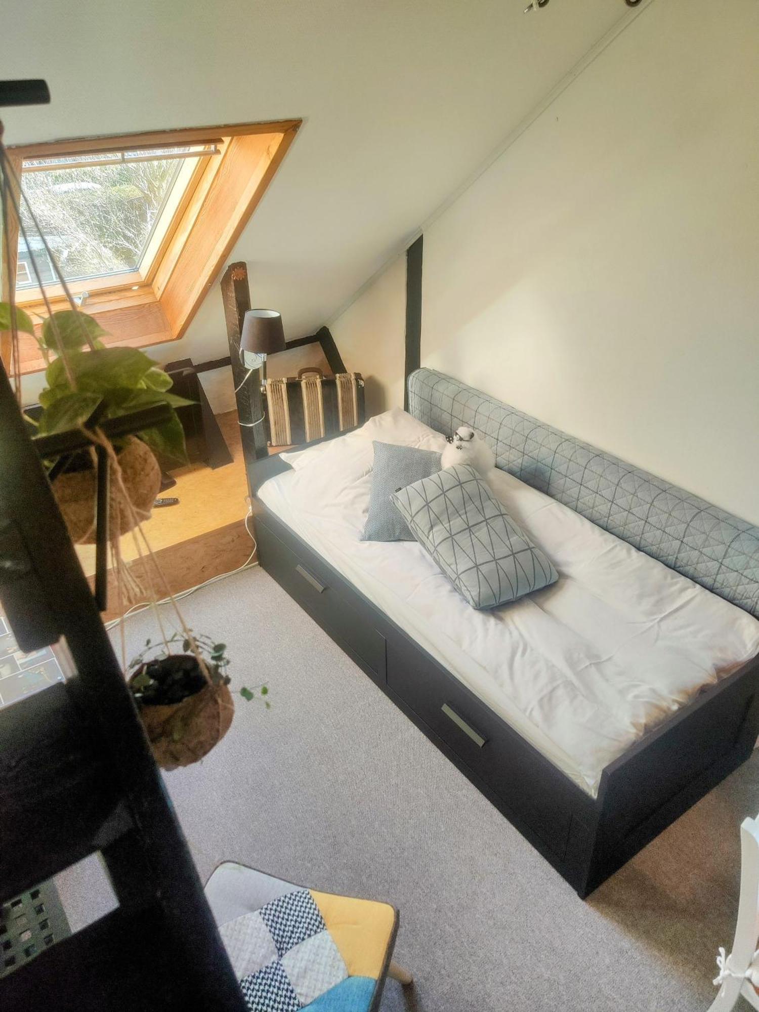 Apartment Cozy Haven - Bright Small Rooms, Easy Public Transport Copenhagen