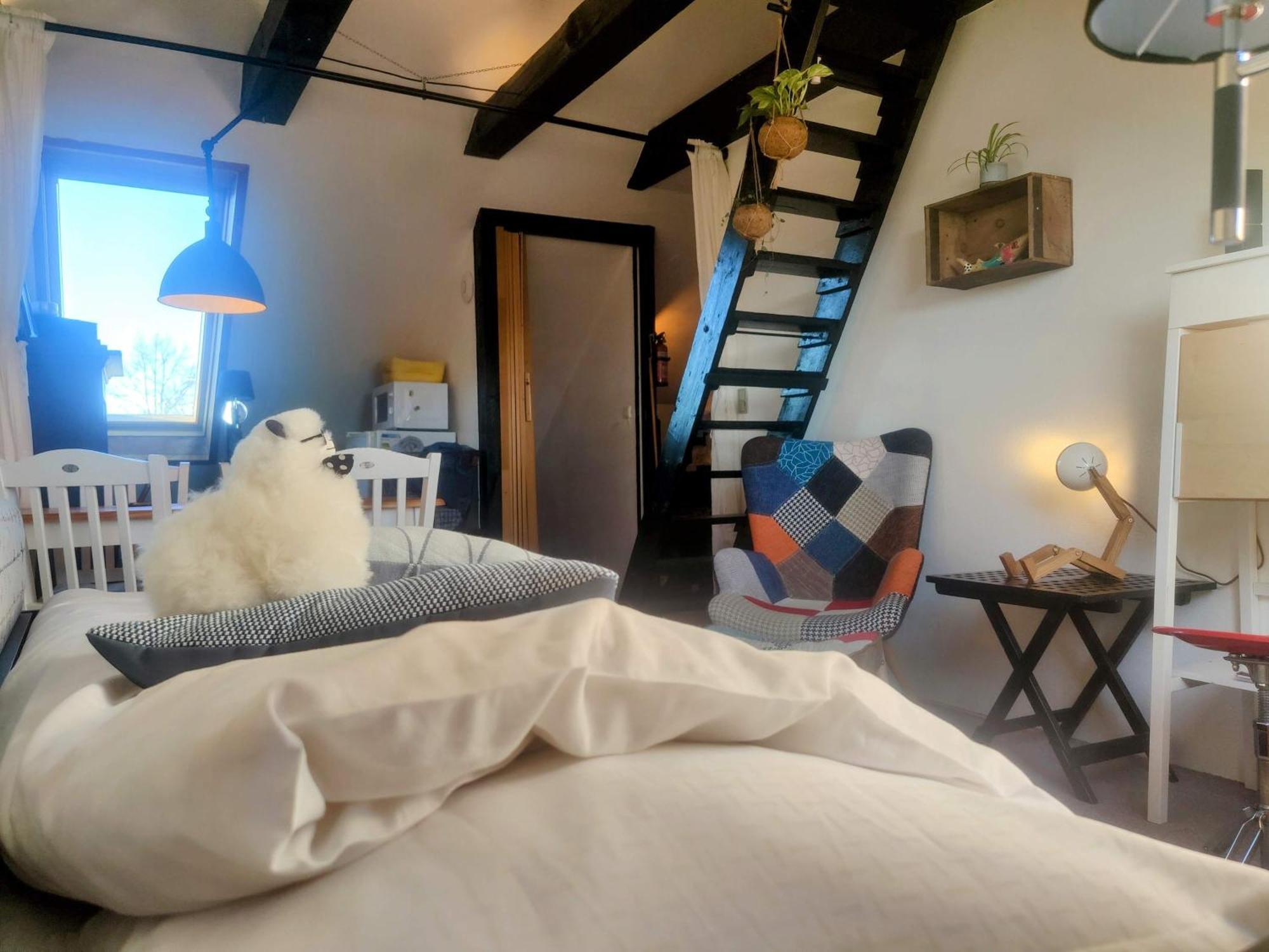 Cozy Haven - Bright Small Rooms, Easy Public Transport Apartment