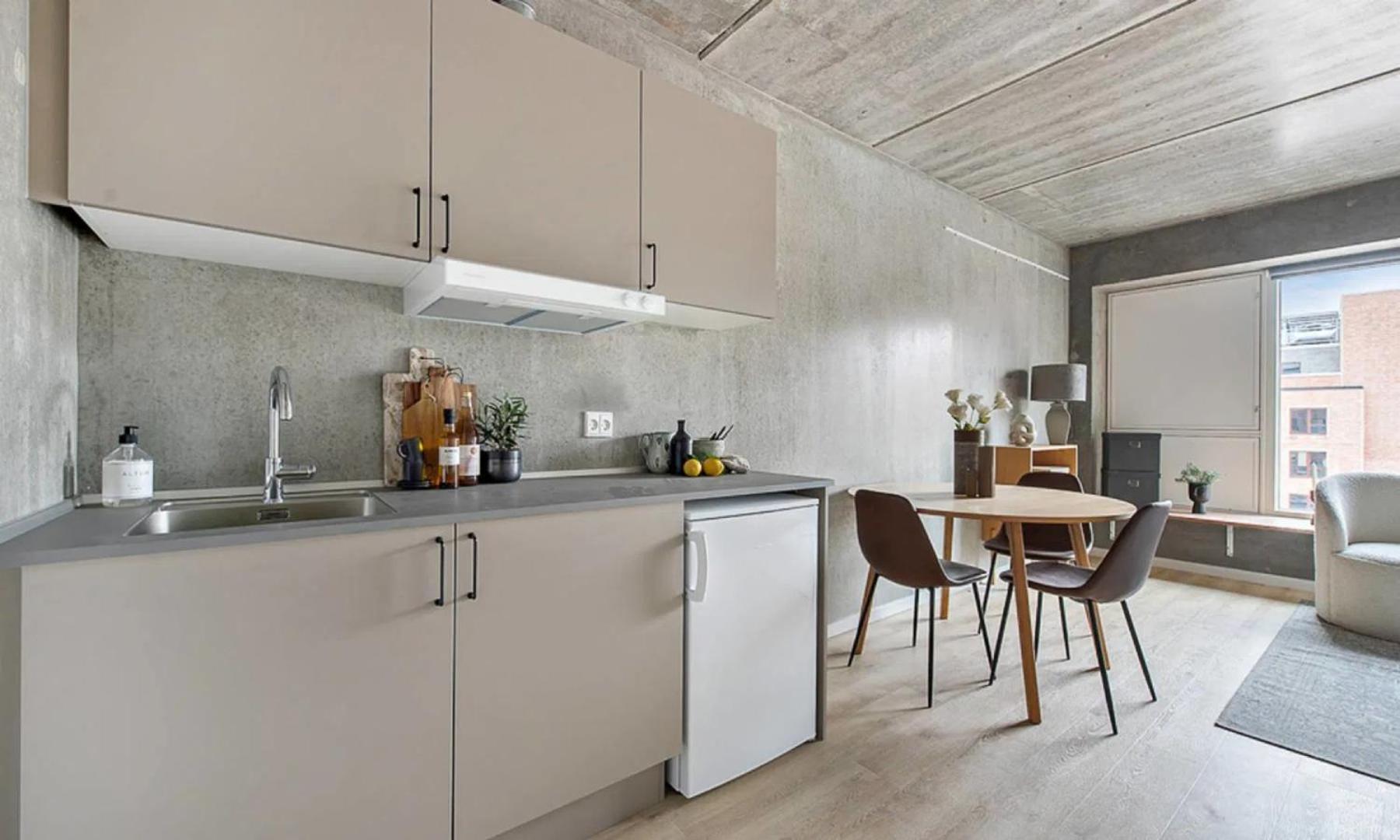 Apartment Tastefull And Modern Copenhagen
