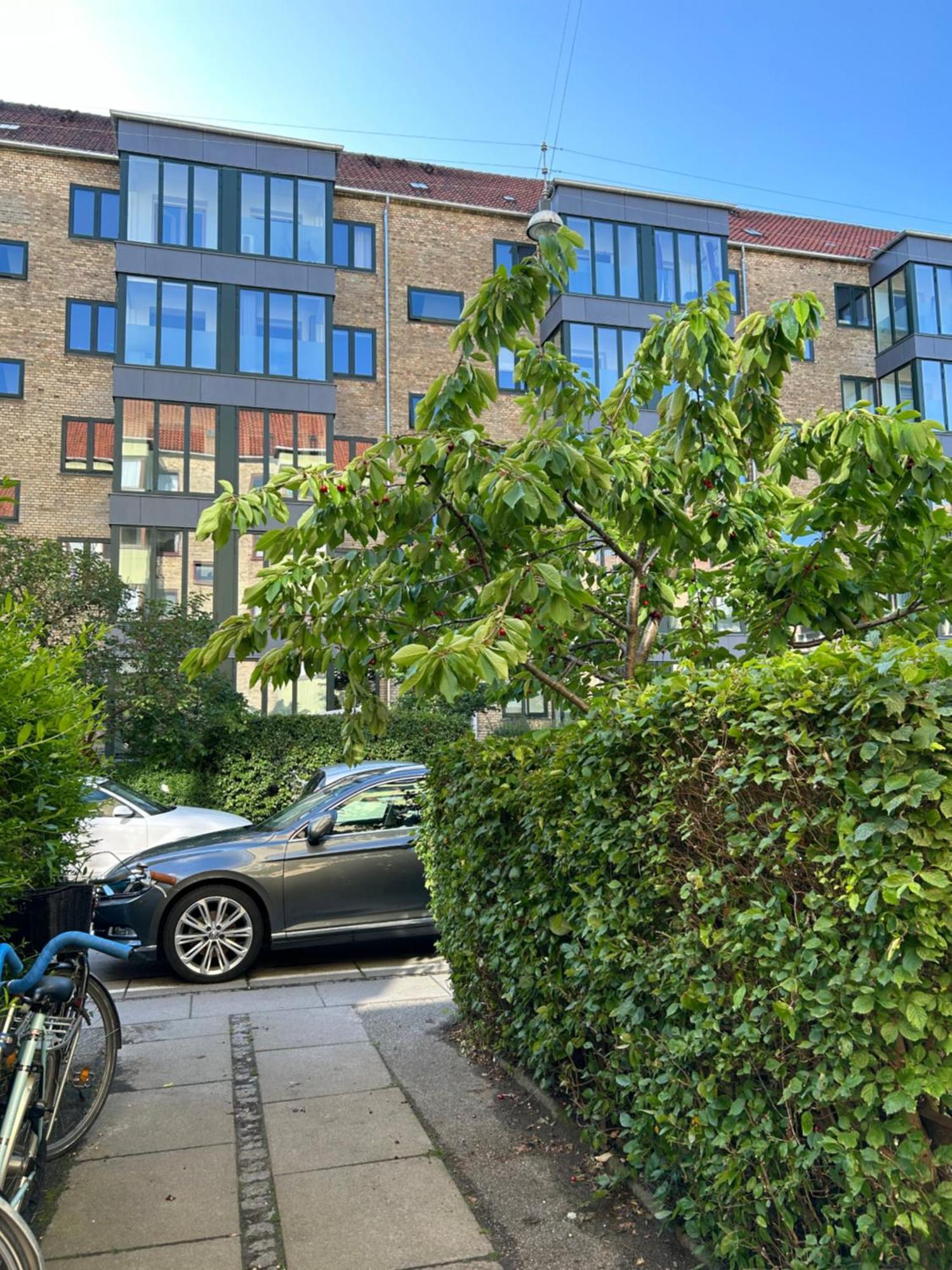 Dream In Centre Apartment