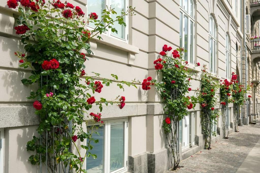 Charming In Huoneisto *