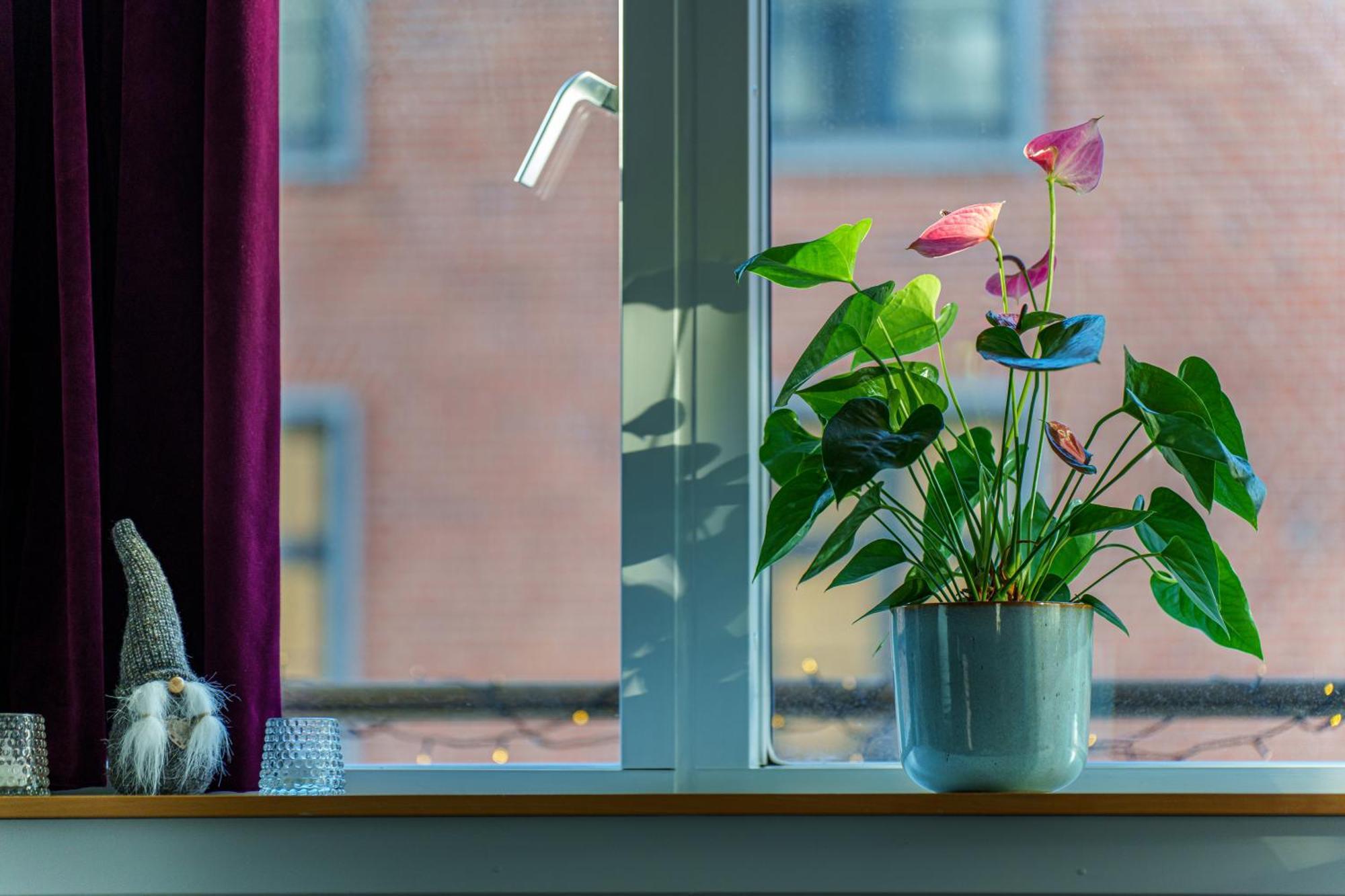 Spacious & Comfortable Near Tivoli & Metro * Copenhagen
