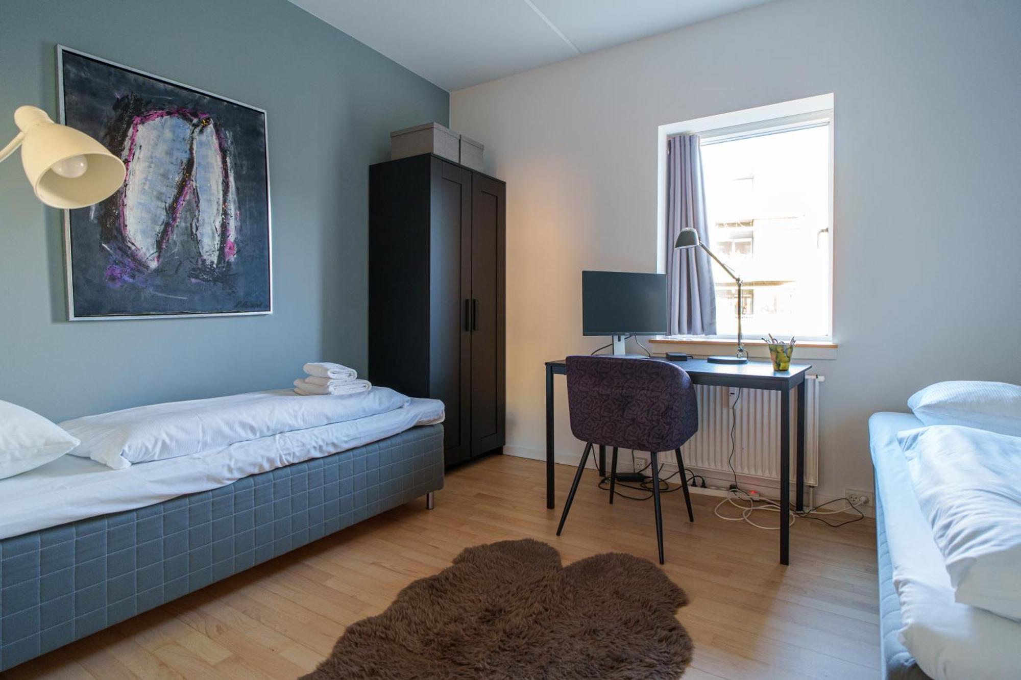 Spacious & Comfortable Near Tivoli & Metro Apartment Copenhagen
