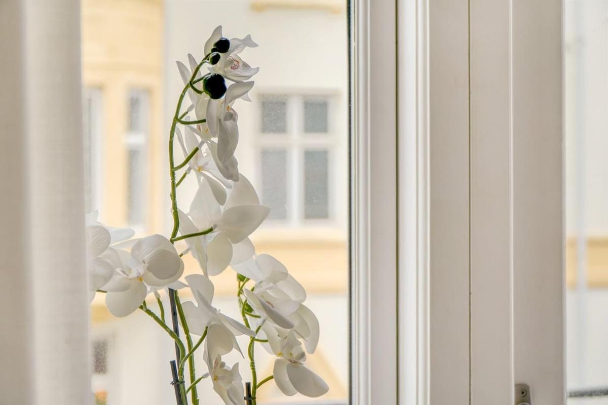 Homely And Spacious In Cph Copenhagen