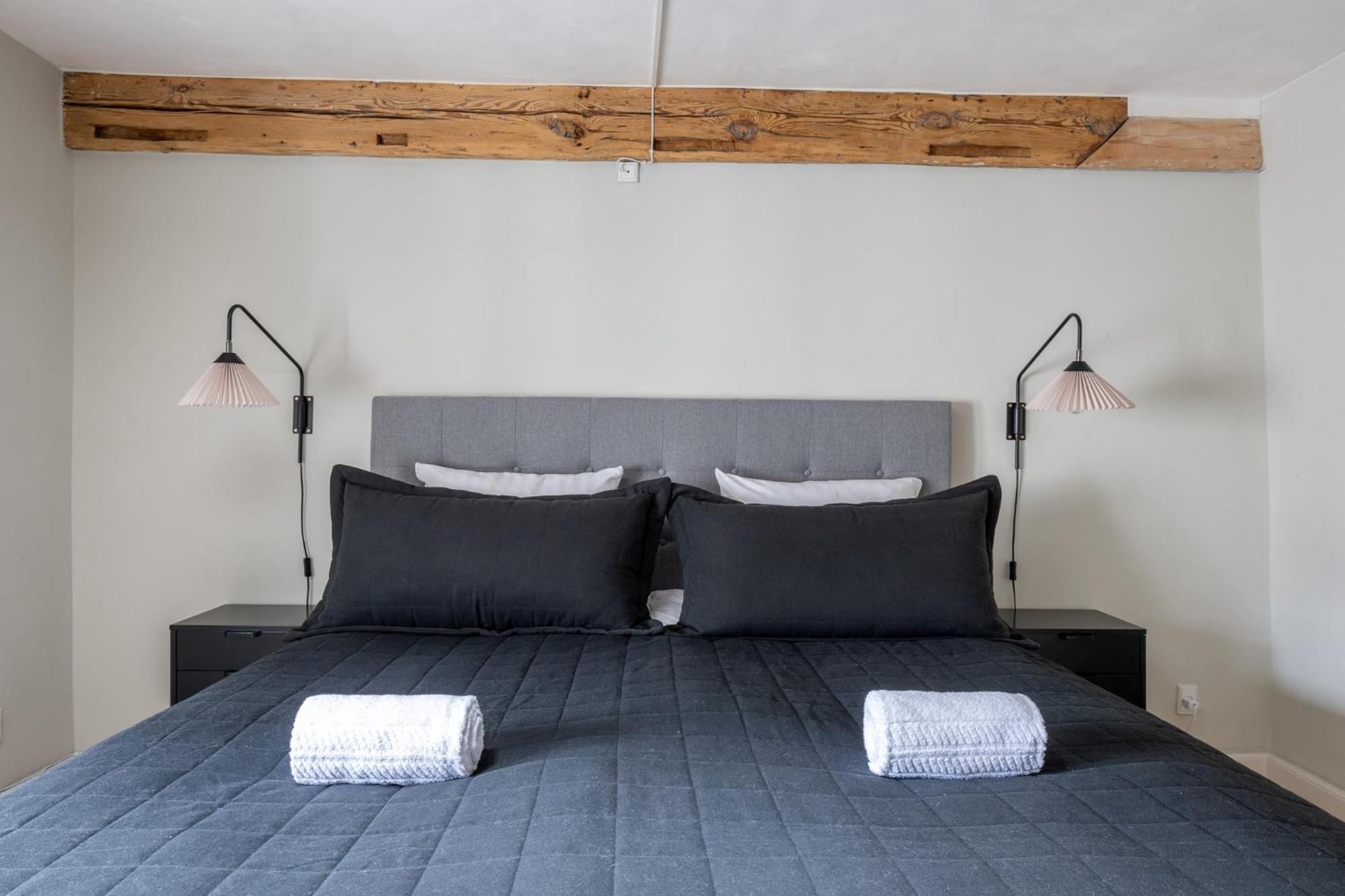 Apartment Stylish Loft In The Heart Of Cph