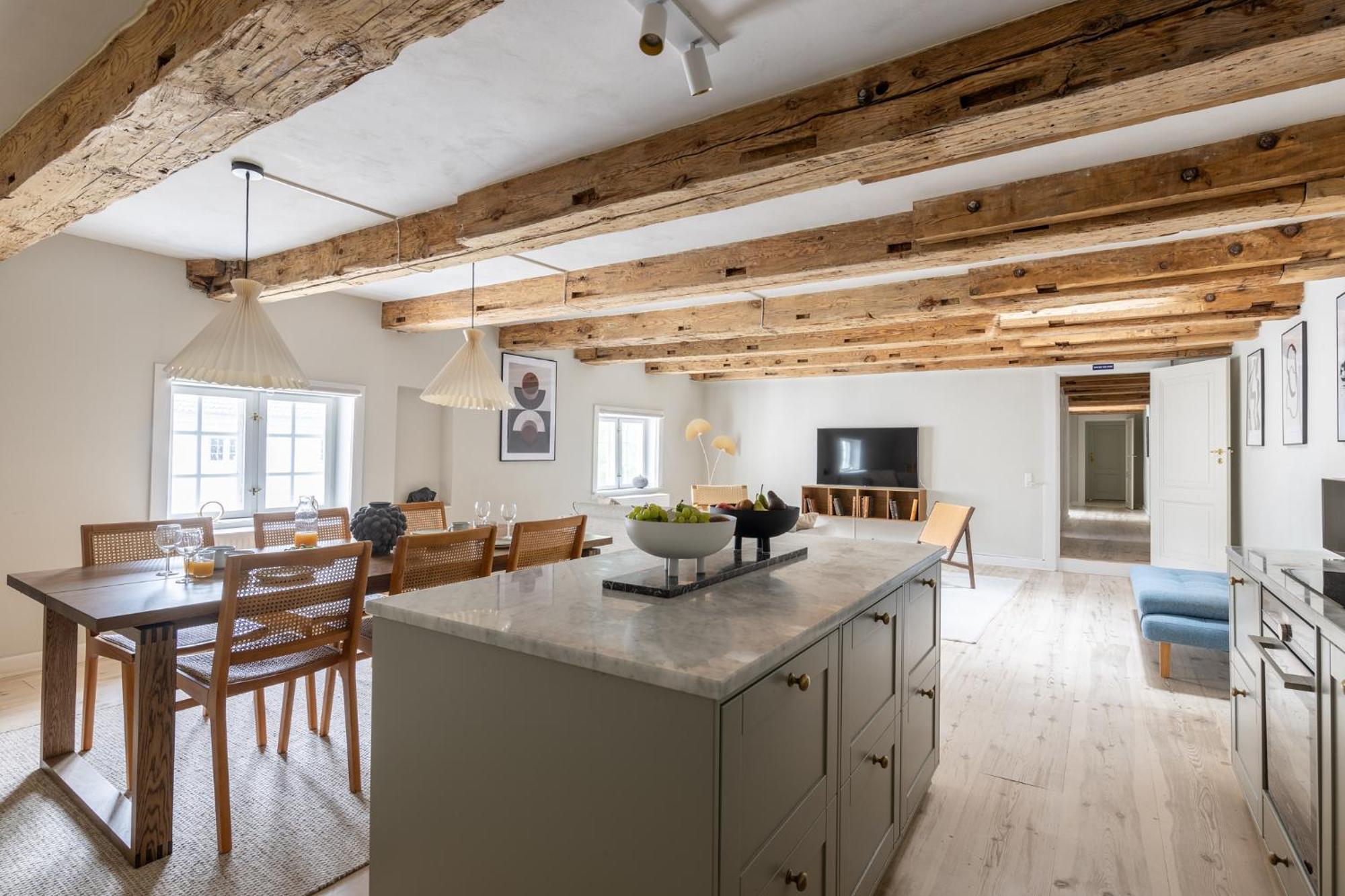 Apartment Stylish Loft In The Heart Of Cph
