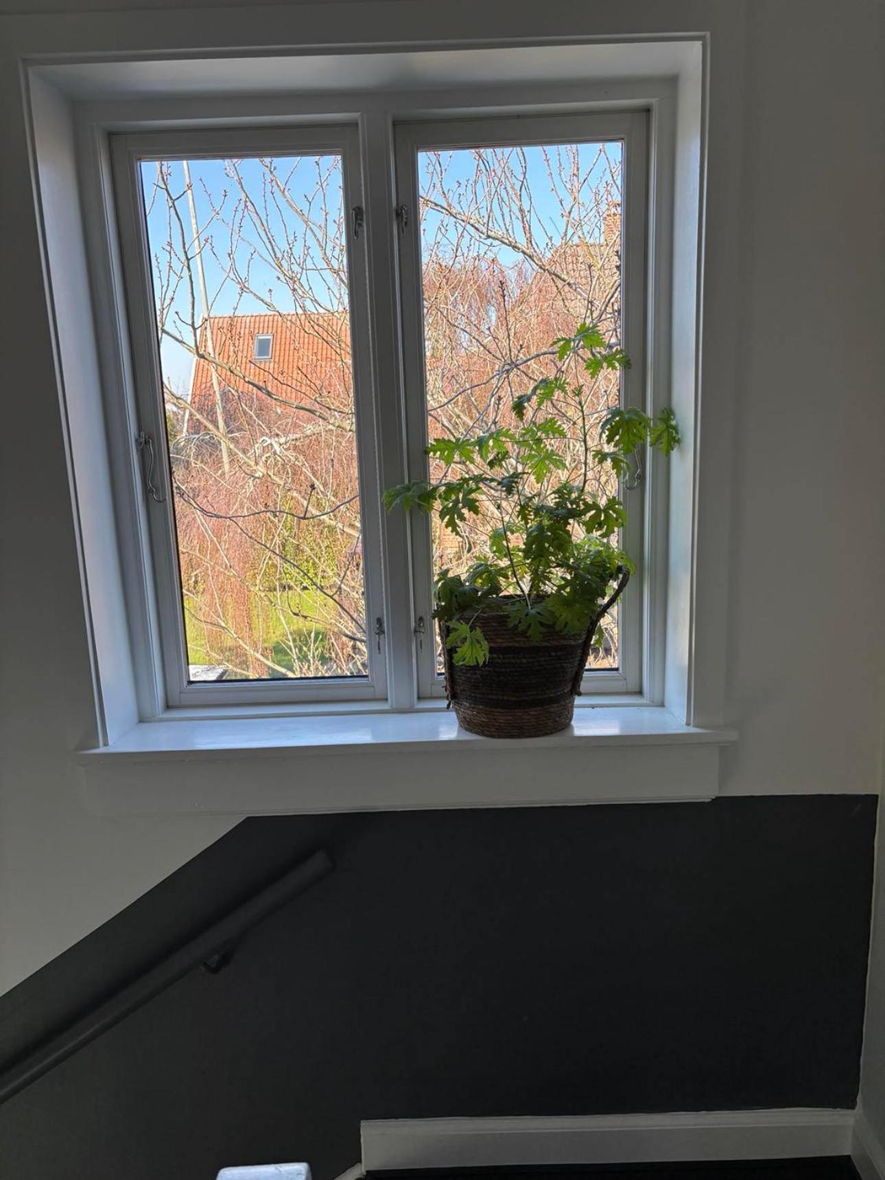 Kleiters Bed & Kitchen Apartment
