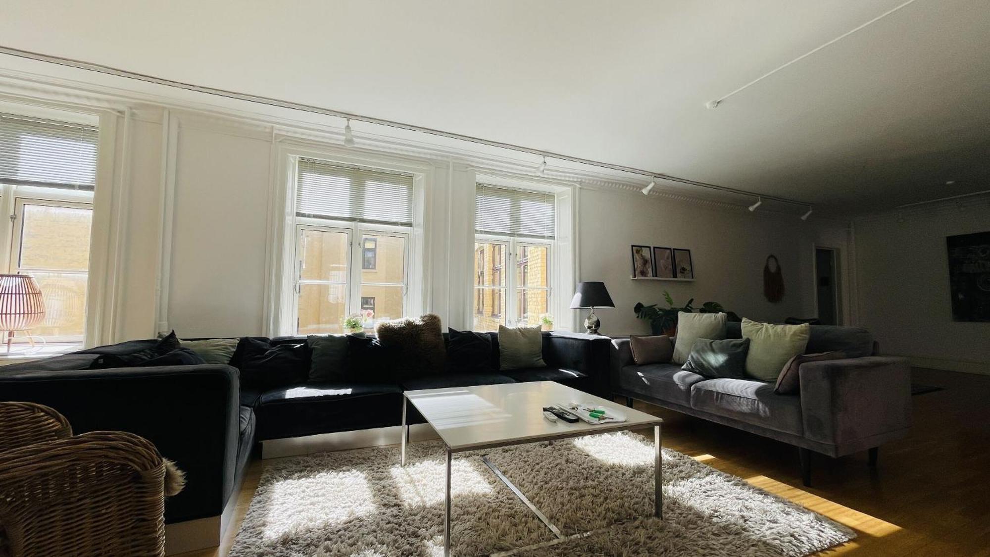 Apartmentincopenhagen 1502 Apartment Copenhagen