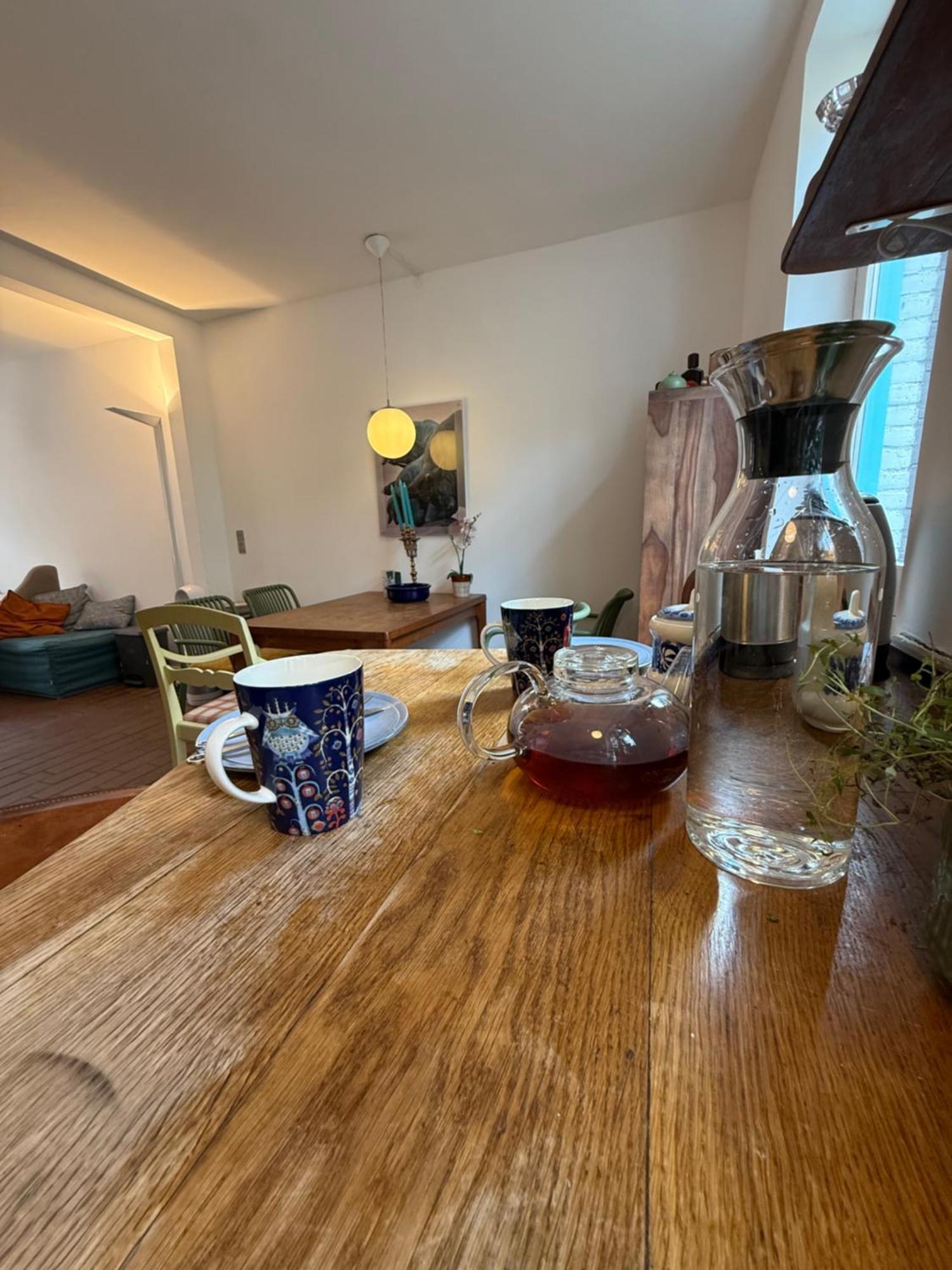 Cozy Center Chambers With Kitchen And Garden Homestay Copenhagen