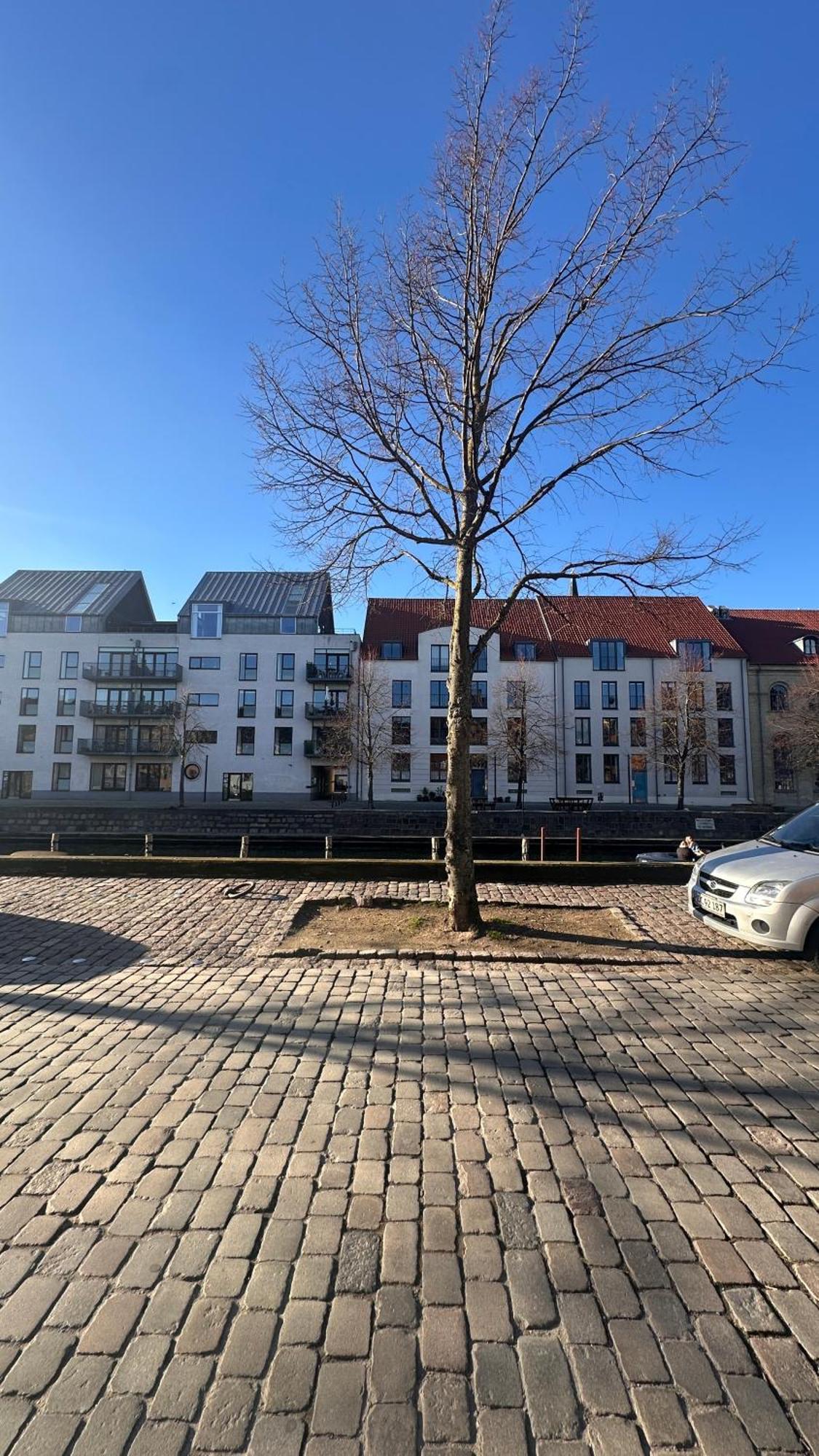 Christianshavn Nr 1 Huoneisto